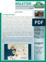 Newwsletter 6v3PDF PDF