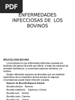 2 Enfermedades Infecciosas de Los Bovinos