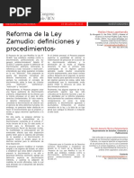 Reforma de La Ley Zamudio - Definiciones y Procedimientos