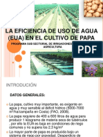 Biblioteca-exposiciones-2012-Eficiencia Del Uso Del Agua en El Cultivo de La Papa