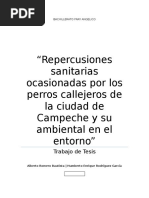 Repercusiones Sanitarias Ocasionadas Por Los Perros Callejeros de La Ciudad de Campeche y Su Ambiental en El Entorno