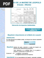 Matriz de Leopold