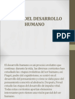 Etapas Del Desarrollo Humano Clase 3