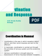 Coordination and Response: GCE Study Buddy Biology