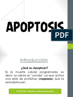 APOPTOSIS