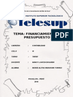 Monografia Financiamiento y Presupuesto