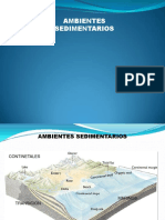 Ambiente Sedimentario PDF