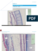 Prácticas Histología