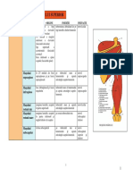 Anatomie 2015