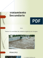 Tratamiento Secundario