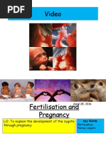 Fertilisation and Pregnancy