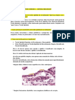 Respostas Estudo Dirigido 1 (Com Figurinhas)