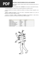 Ejercicio de Apertura de Chakras