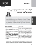 Vigencia de Mandato de Presidente de Junta de Propietarios