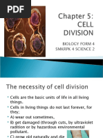 4 Science 2 RPK - Chap 5 Cell Division (Part 1)