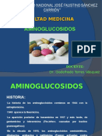 Aminoglucosidos