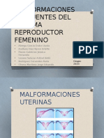 Malformaciones Del Aparato Reproductor Femenino