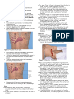 PE of The Liver