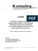 Ghid Proiectare Sistem Integrat PDF