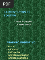 Alimentacion en Equinos