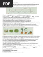 Ficha de Exercicios Obtenção de Matéria Biologia