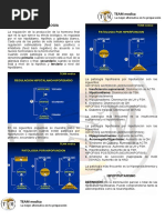 Endocrinologia 1