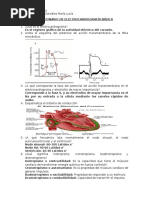 Cuestionario de Electrocardiografía Básica