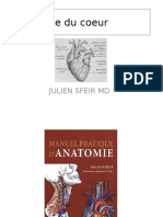 Anatomie Du Coeur