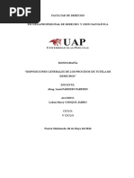 Monografia de Disposiciones Generales de Los Procesos de Tutela de Derechos