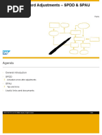 Upgrade Standard Adjustments - SPDD - SPAU - Summary