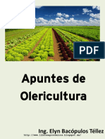 Apuntes de Olericultura