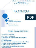 La Cellula