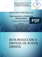 Beta Reducción o Síntesis de Ácidos Grasos