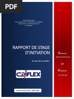 Walid Rapport Griflex Final PDF