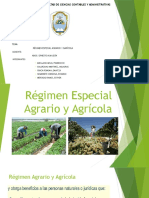 Régimen Especial Agragio y Agrícola