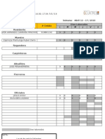 Formato para Reporte Semanal - Residentes