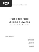 Monografia Publi y Radio