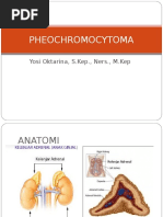 PHEOCHROMOCYTOMA