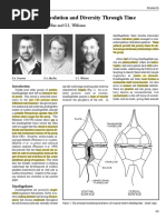 Fensome Et Al., 1996 - DinoEvolution