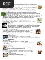 Tipos de Drogas o Estupefacientes