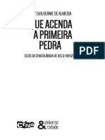 Livro. Que Acenda A Primeira Pedra. Ecos Da Cracolândia de Belo Horizonte - Autor. Luiz Guilherme de Almeida