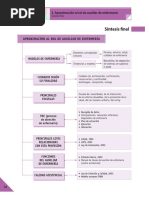 Sintesis de Rol Auxiliar Enfermeria