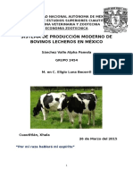 Sistema de Producción Pecuaria Moderna de Bovinos en México