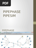 Pipephase y Pipesim