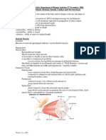Histology Muscle and Nervous Tissue