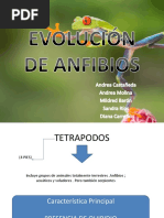 Anfibios Evolucion Expo