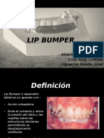 Lip Bumper