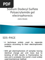 Sodium Dodecyl Sulfate Polyacrylamide Gel Electrophoresis II