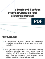 Sodium Dodecyl Sulfate Polyacrylamide Gel Electrophoresis