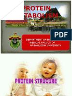 Protein Metabolism: Department of Biochemistry Medical Faculti of Hasanuddin University